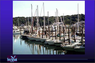 Marina Image Slide Show